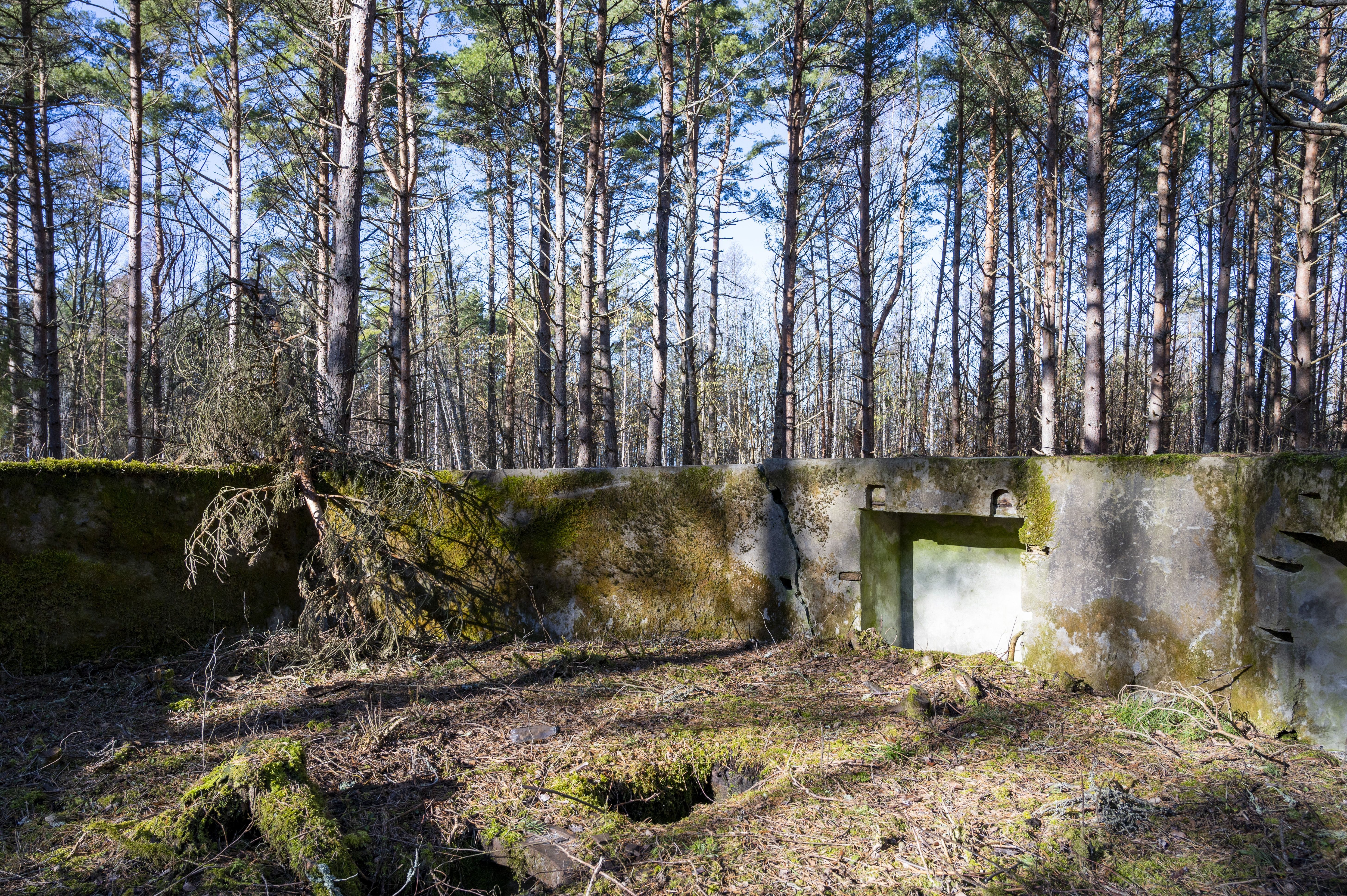 Saaremaa vald, Murika küla, Otsa