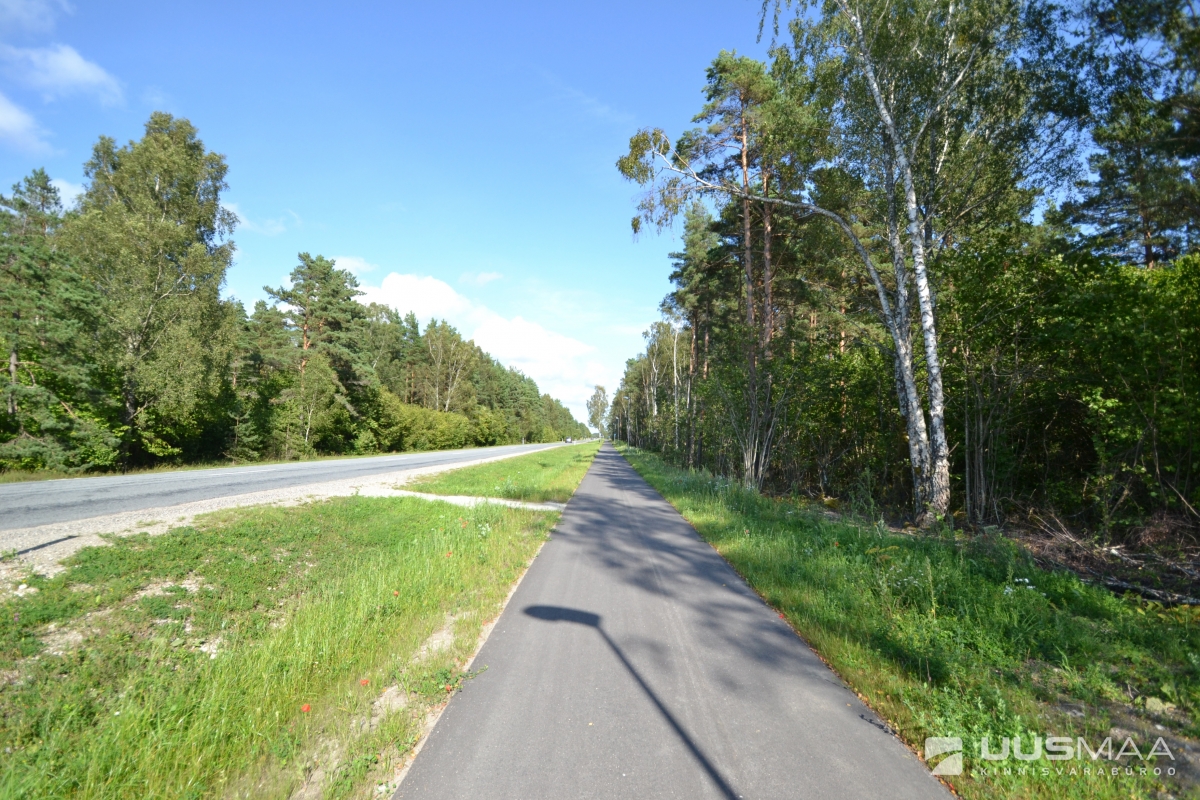 Saaremaa vald, Muratsi küla, Kaasiku,  Männiranna,  Rohumäe ja Liivavälja