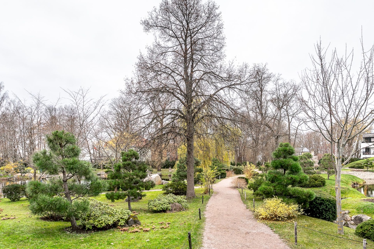 Tallinn, Kesklinna linnaosa, Kadriorg, Oru 12