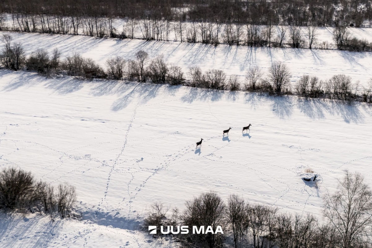 Saaremaa vald, Oitme küla, Uue-Kordoni