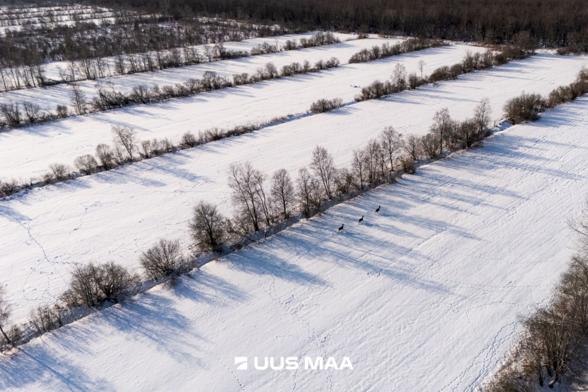 Saaremaa vald, Oitme küla, Uue-Kordoni