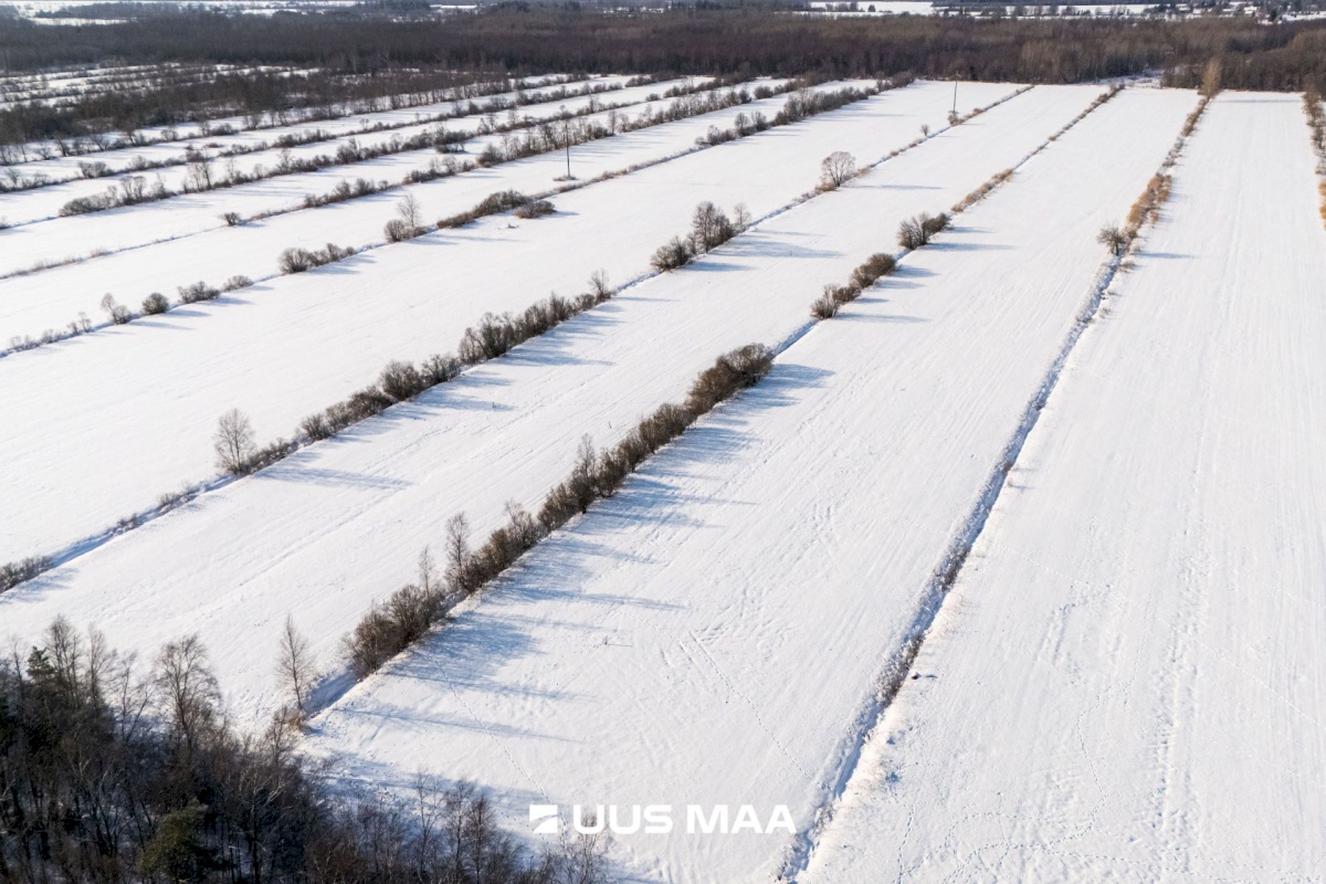 Saaremaa vald, Oitme küla, Uue-Kordoni