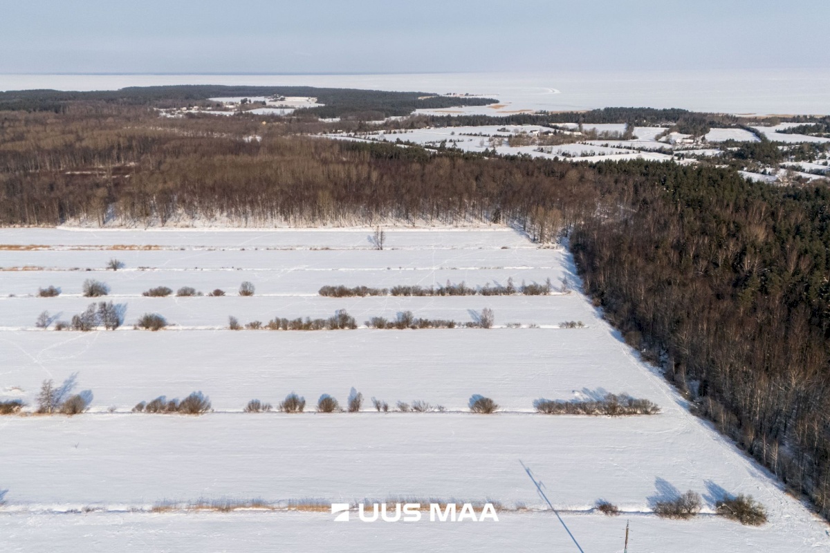 Saaremaa vald, Oitme küla, Uue-Kordoni