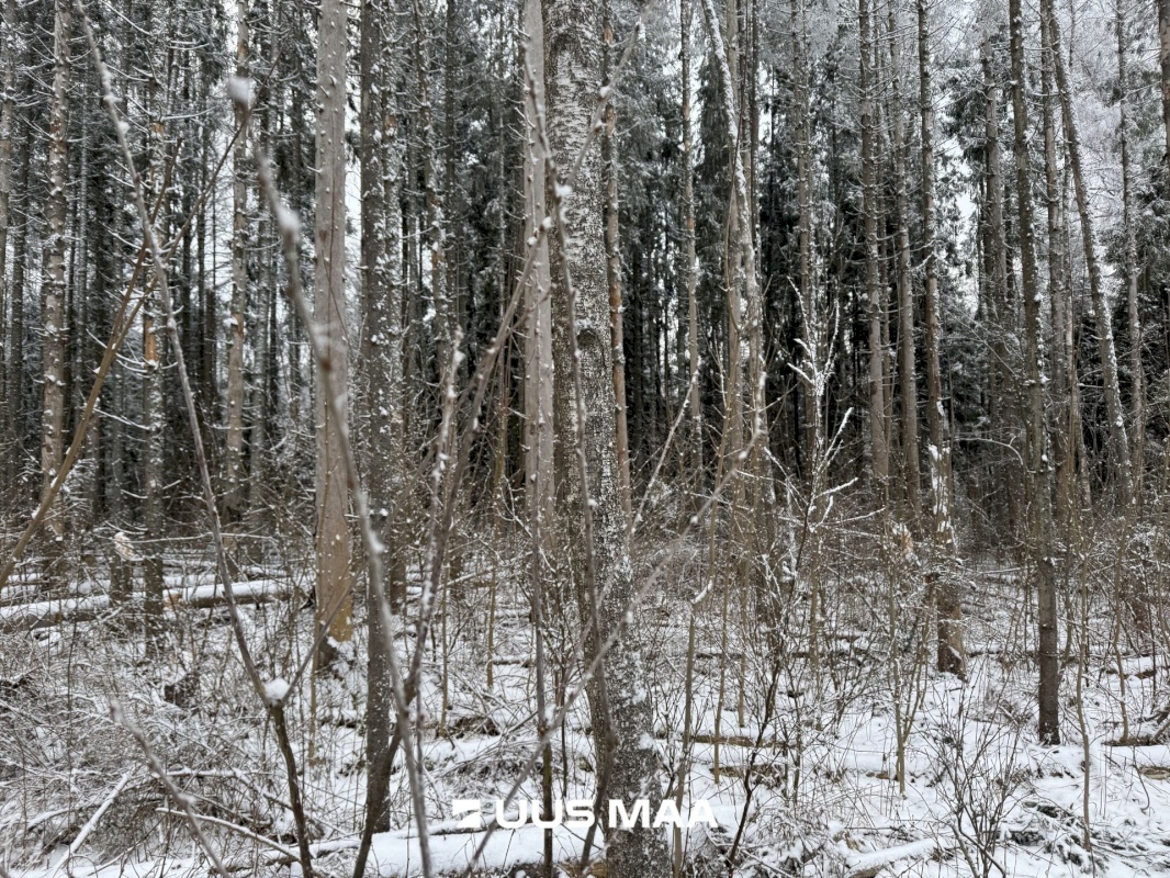 Rapla vald, Oola küla