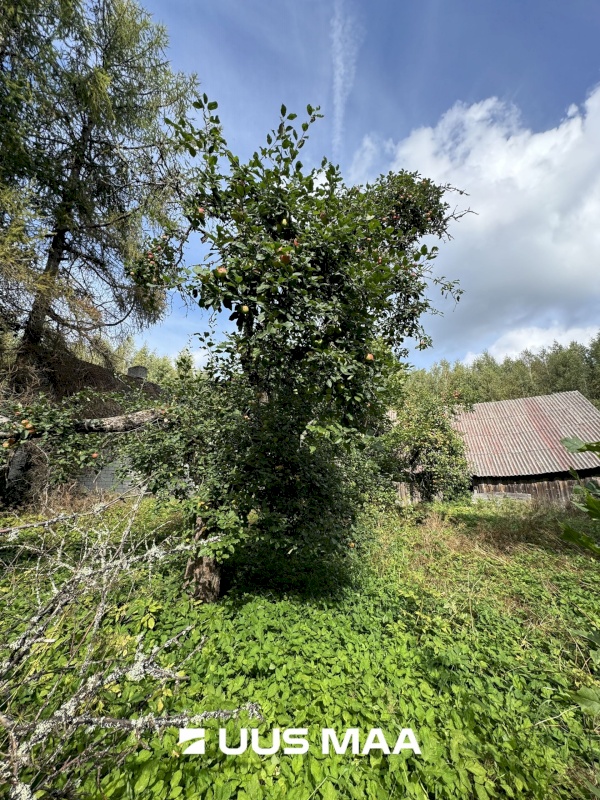 Rapla vald, Hõreda küla