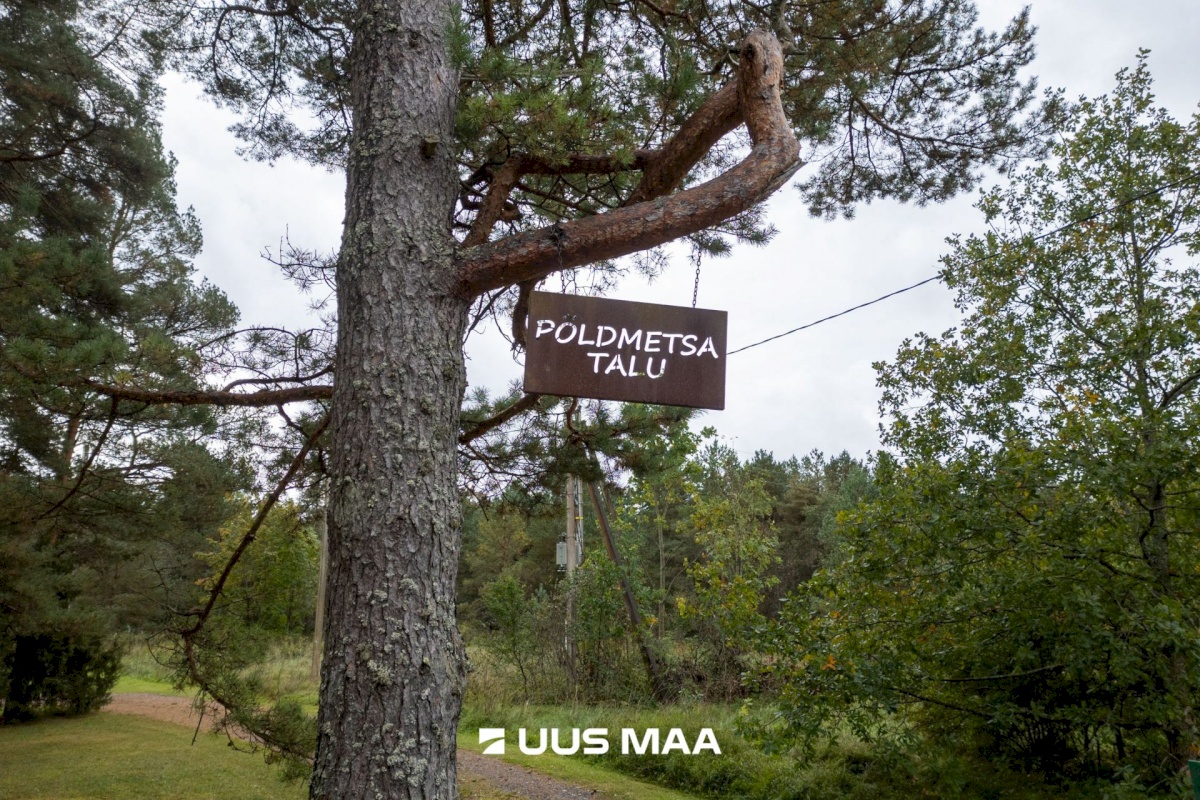 Saue vald, Aila küla, Põldmetsa