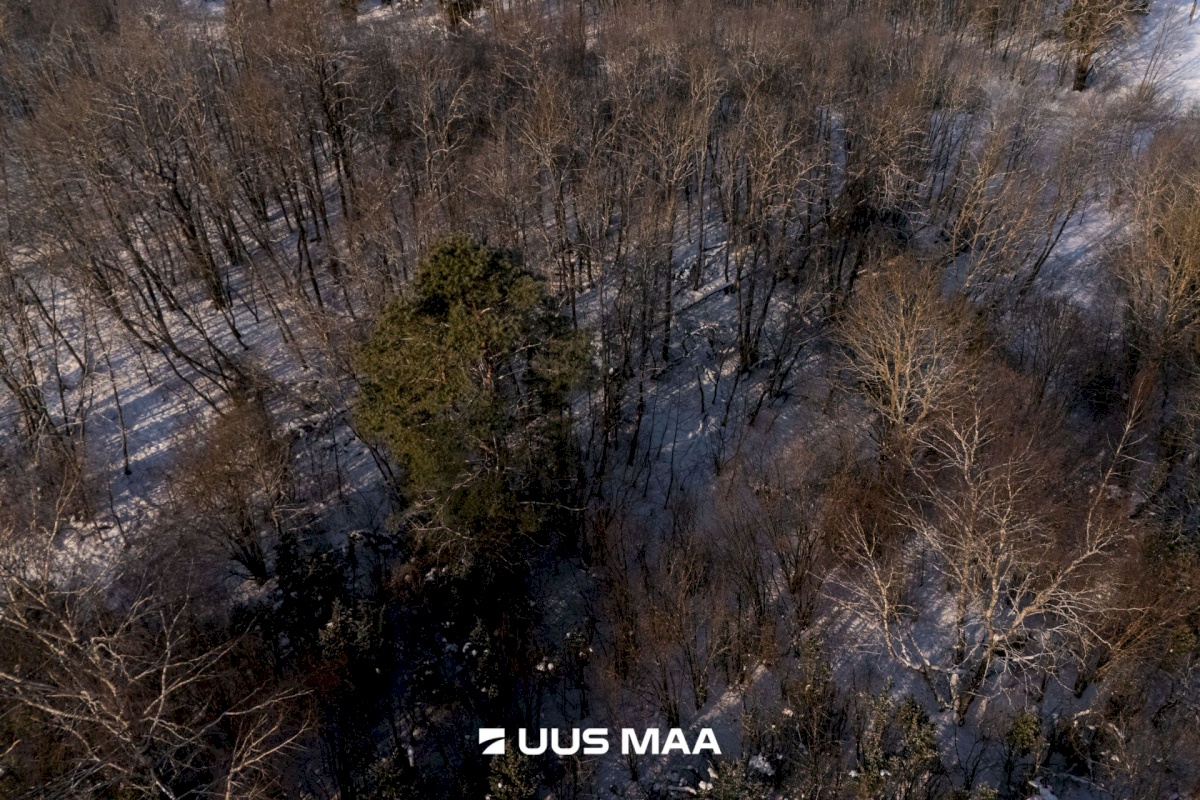 Saaremaa vald, Oitme küla