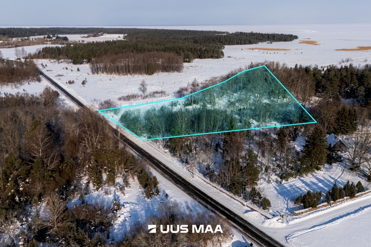 Saaremaa vald, Oitme küla