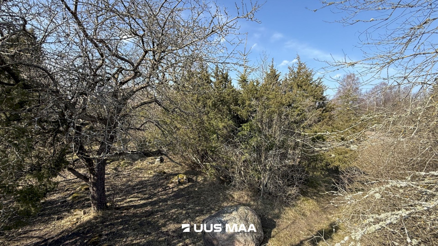 Saaremaa vald, Oitme küla, Kordoni