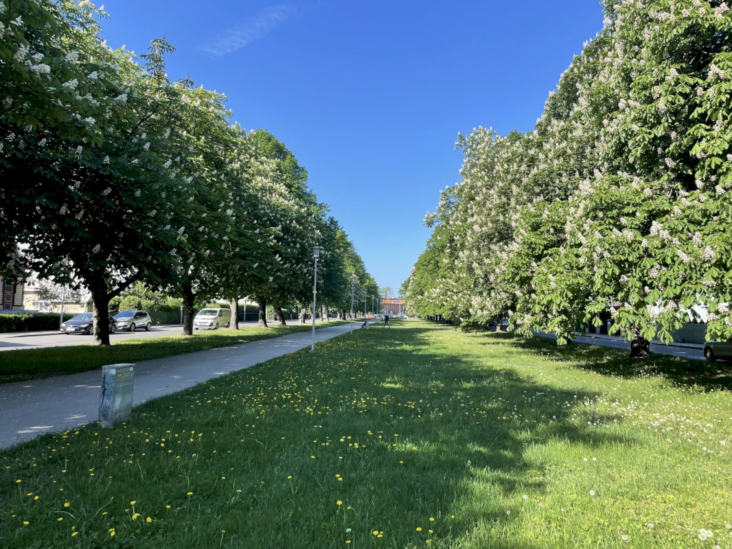 Tallinn, Põhja-Tallinna linnaosa, Pelgulinna, Kolde pst 46