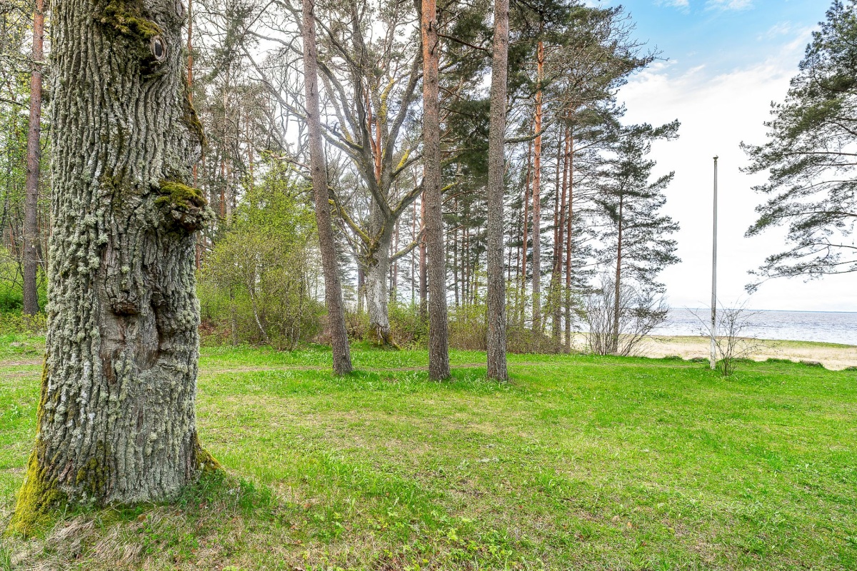 Häädemeeste vald, Mereküla, Killi tee 25