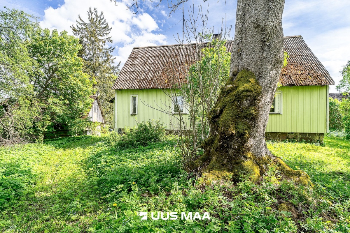 Märjamaa vald, Pajaka küla, Lutsupere