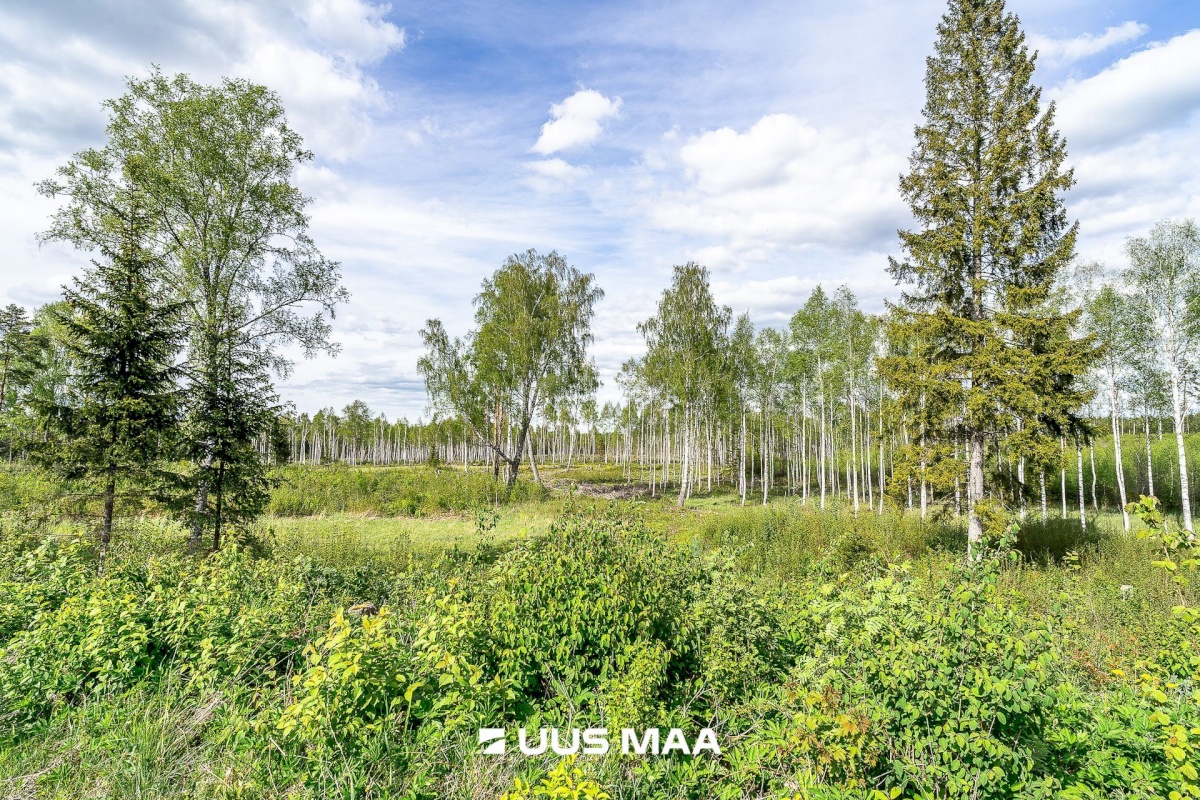 Märjamaa vald, Pajaka küla, Lutsupere