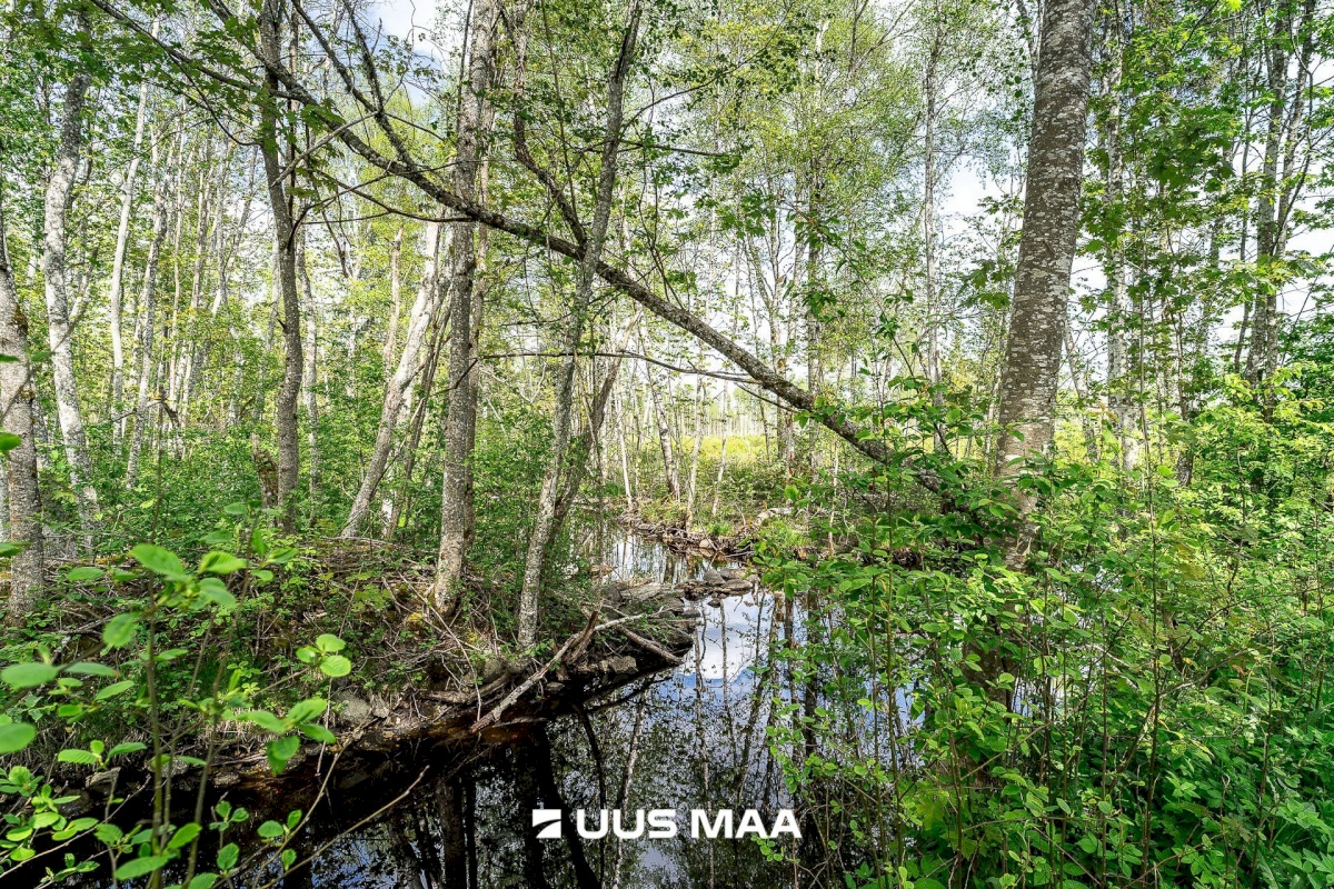 Märjamaa vald, Pajaka küla, Lutsupere