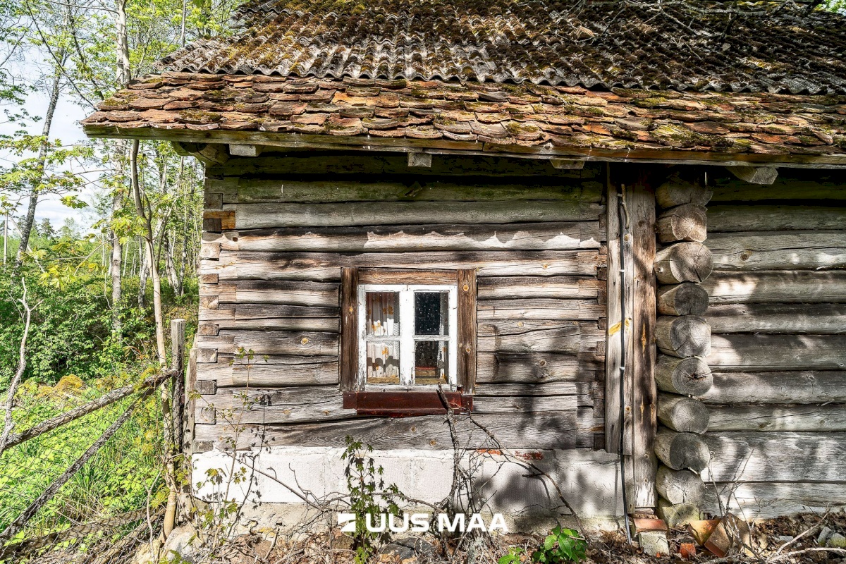 Märjamaa vald, Pajaka küla, Lutsupere