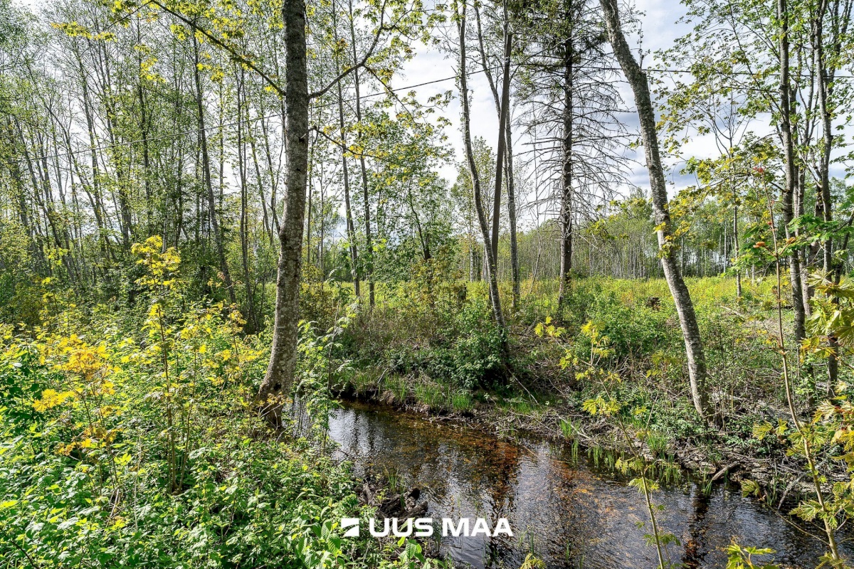Märjamaa vald, Pajaka küla, Lutsupere