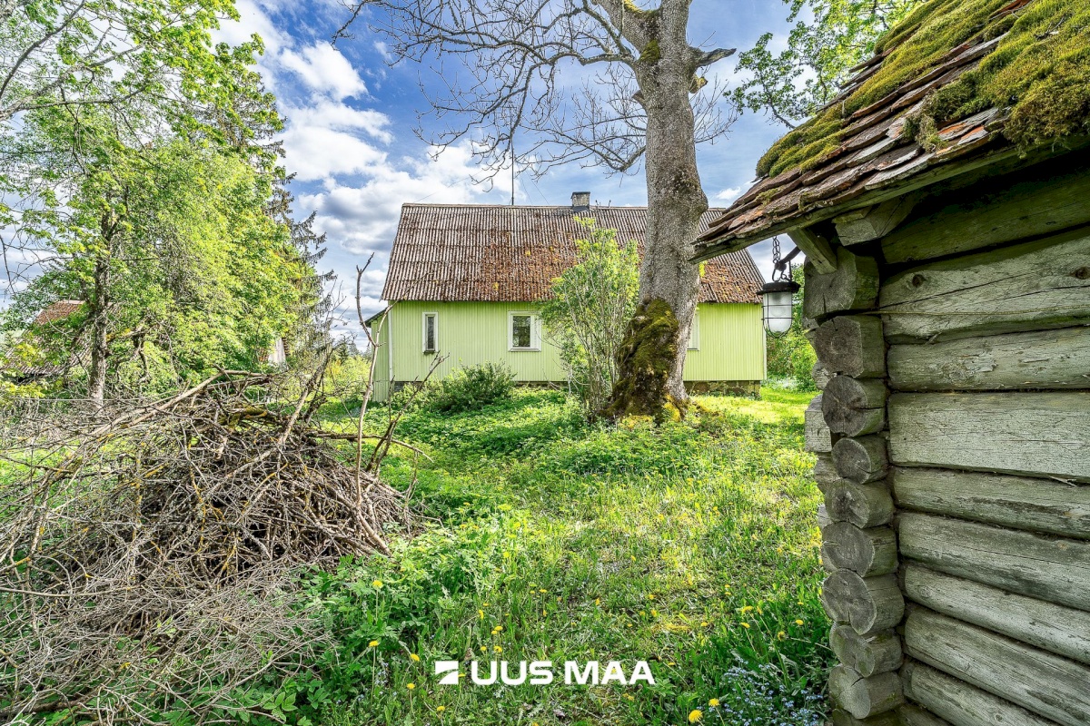 Märjamaa vald, Pajaka küla, Lutsupere