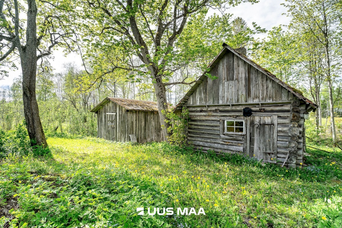 Märjamaa vald, Pajaka küla, Lutsupere
