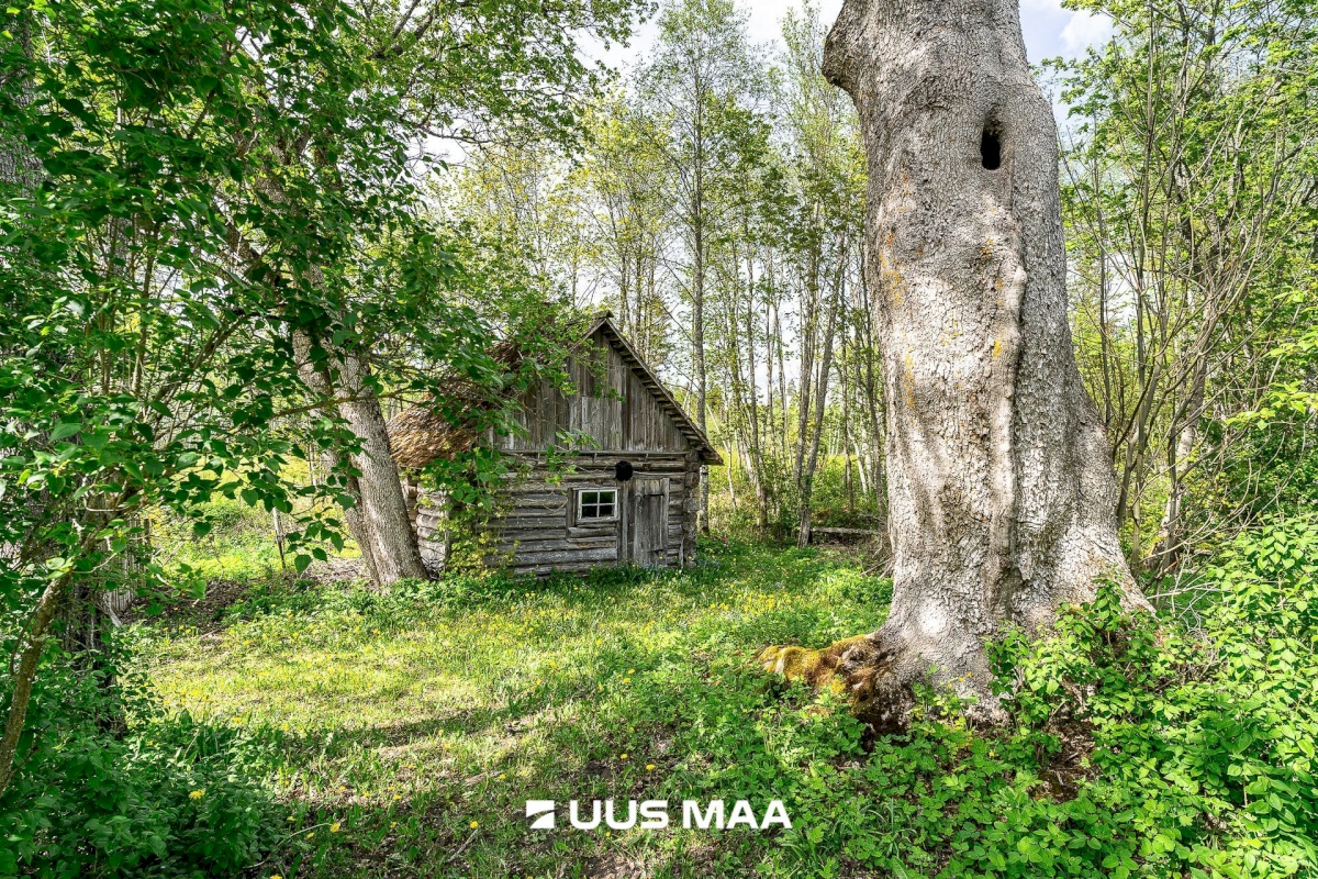 Märjamaa vald, Pajaka küla, Lutsupere