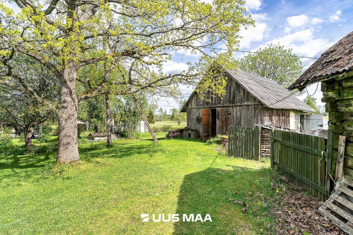 Märjamaa vald, Pajaka küla, Lutsupere