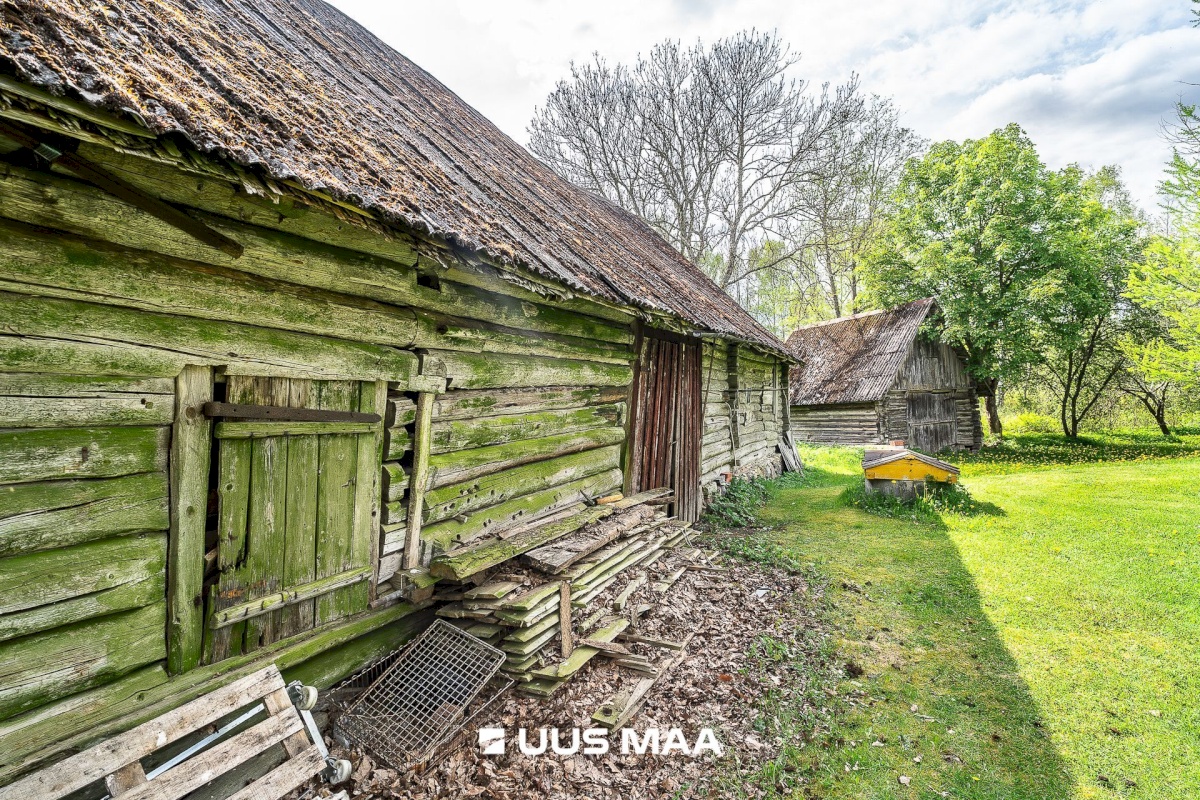 Märjamaa vald, Pajaka küla, Lutsupere