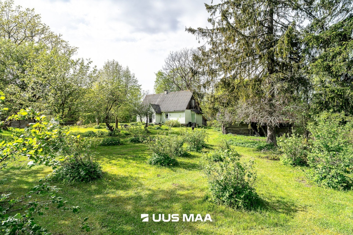 Märjamaa vald, Pajaka küla, Lutsupere