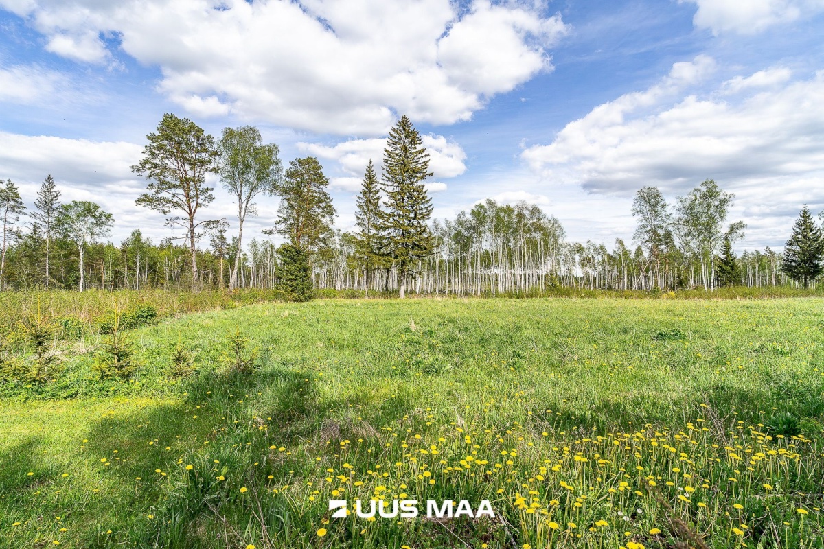 Märjamaa vald, Pajaka küla, Lutsupere