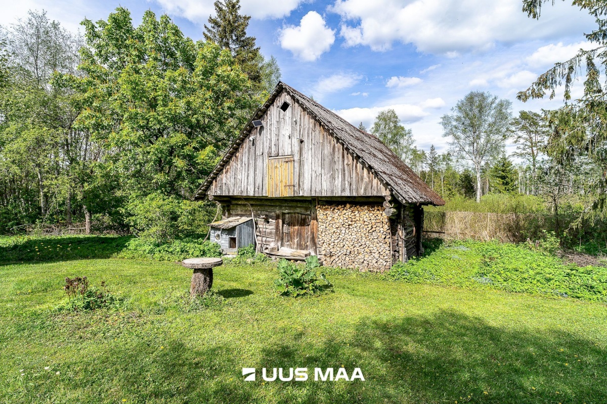 Märjamaa vald, Pajaka küla, Lutsupere