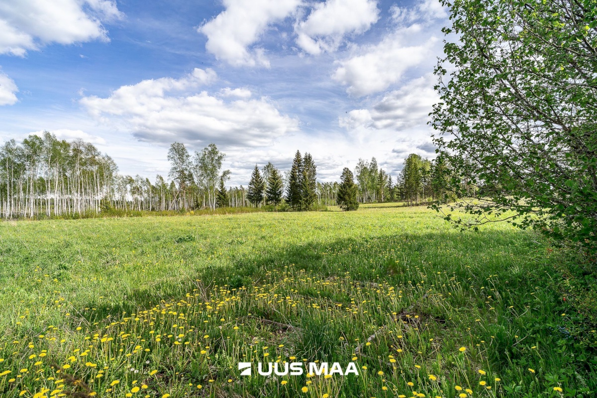 Märjamaa vald, Pajaka küla, Lutsupere