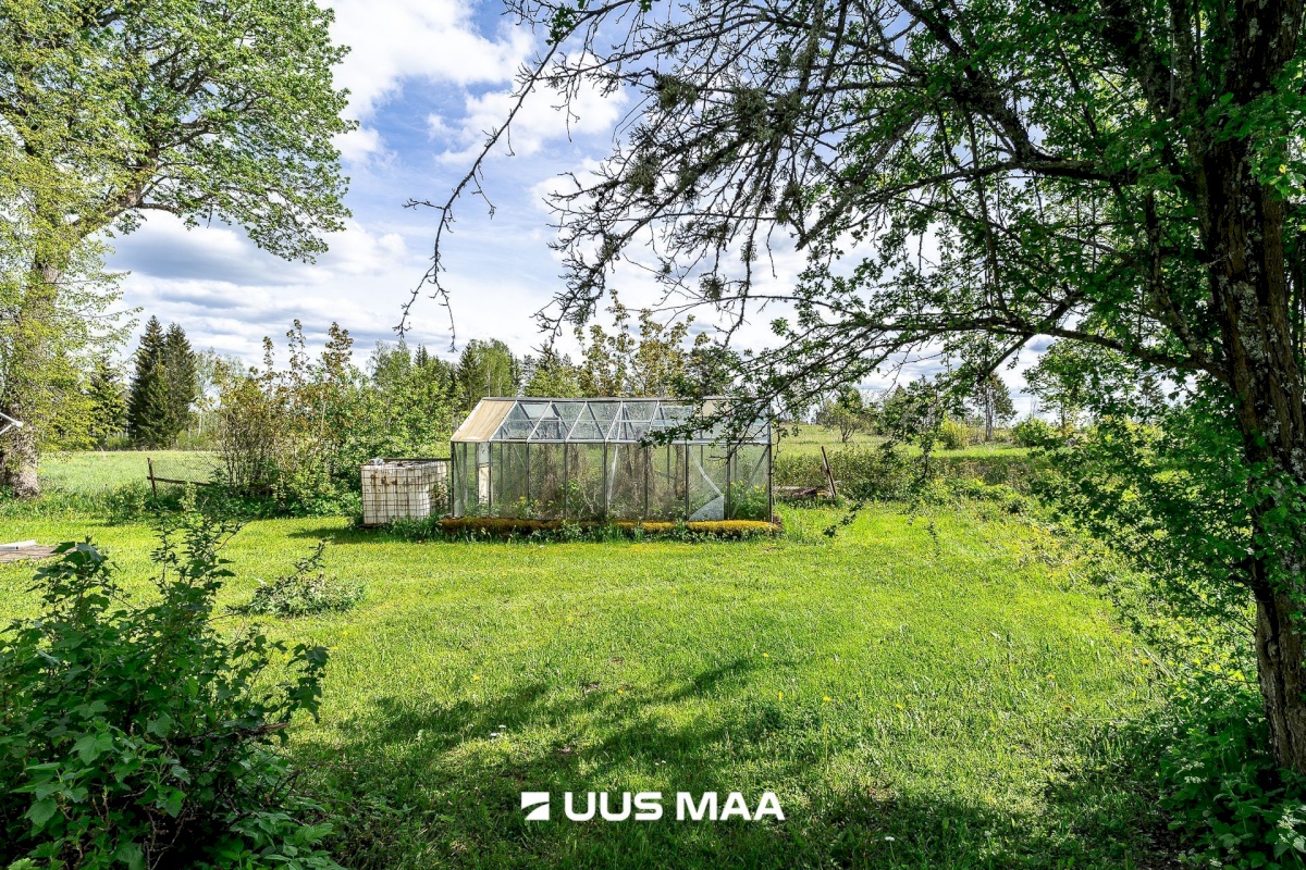 Märjamaa vald, Pajaka küla, Lutsupere