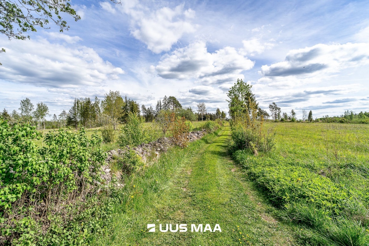 Märjamaa vald, Pajaka küla, Lutsupere