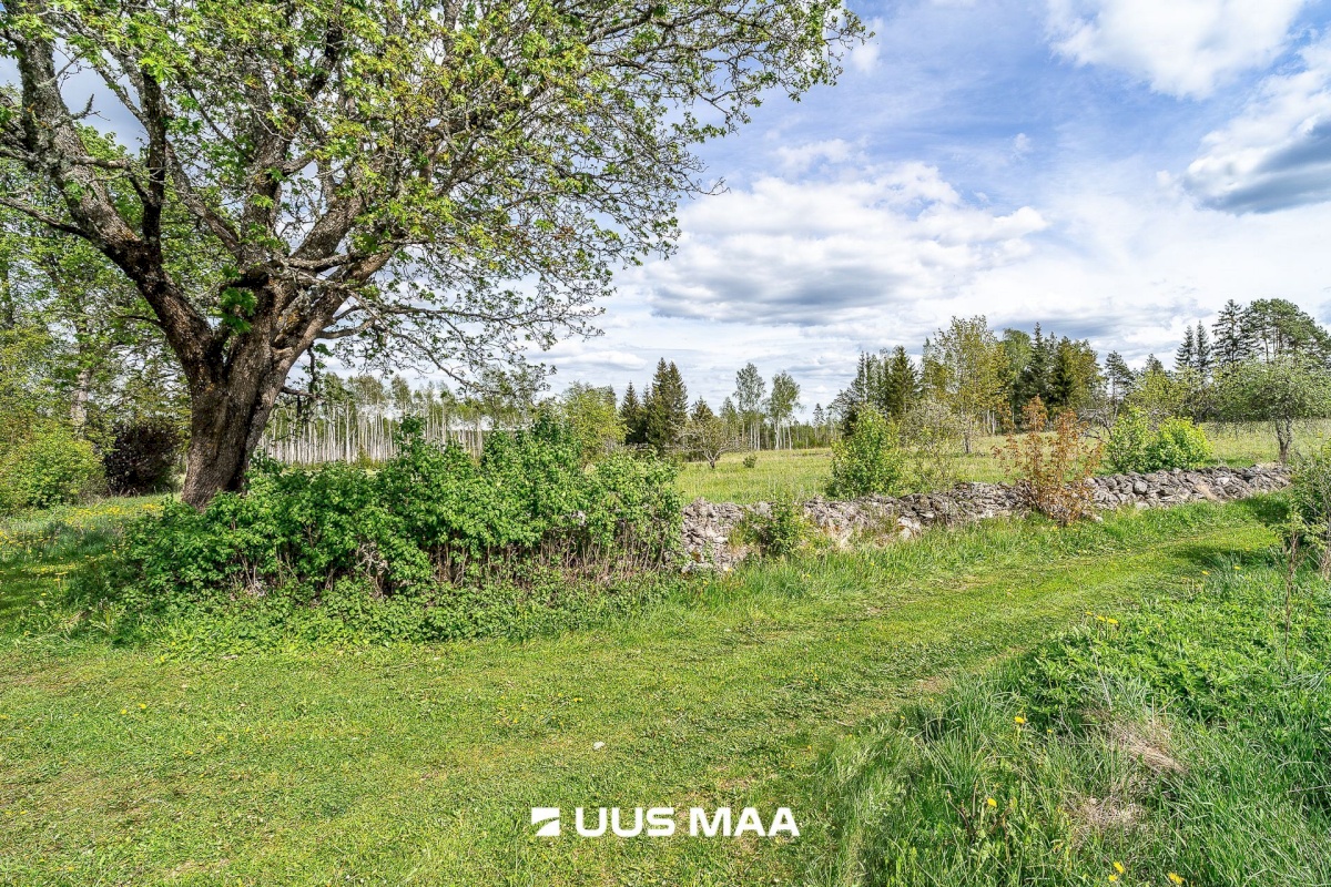 Märjamaa vald, Pajaka küla, Lutsupere