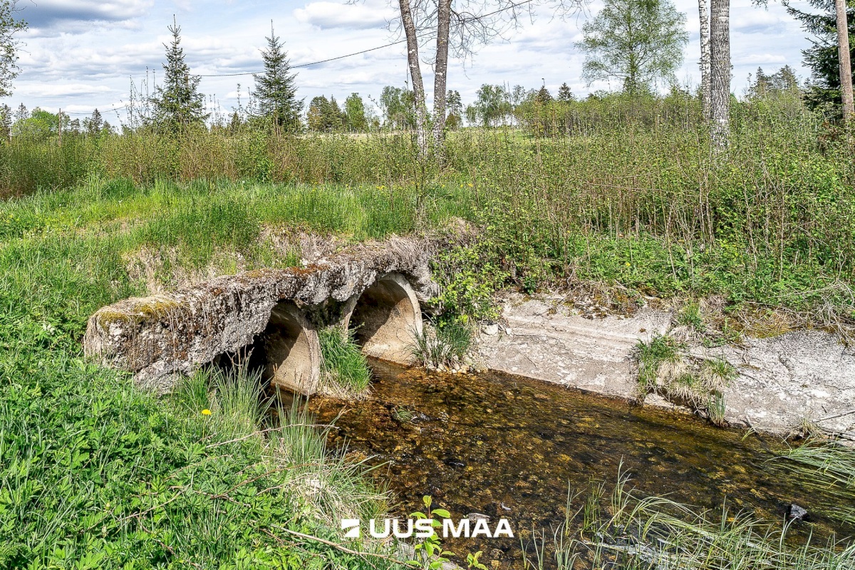 Märjamaa vald, Pajaka küla, Lutsupere
