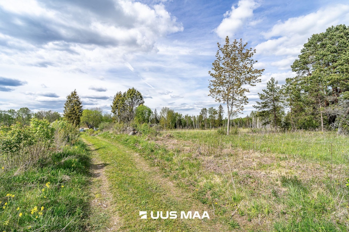 Märjamaa vald, Pajaka küla, Lutsupere