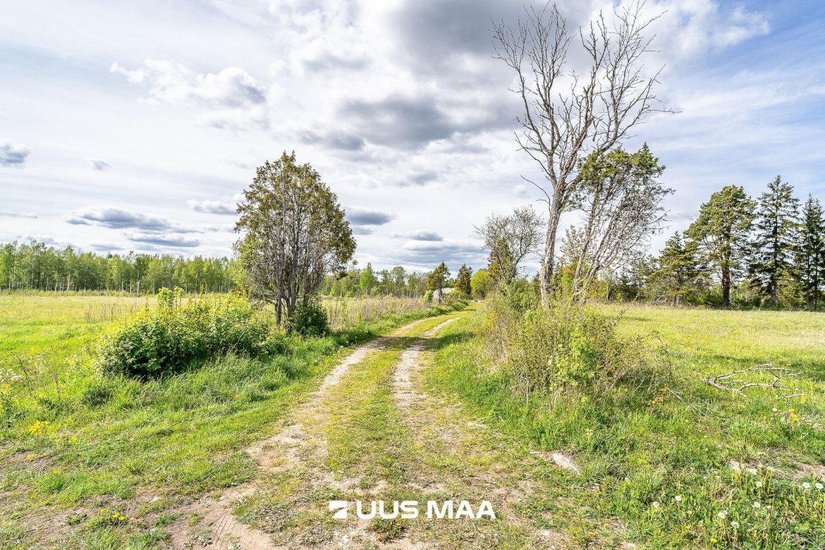 Märjamaa vald, Pajaka küla, Lutsupere
