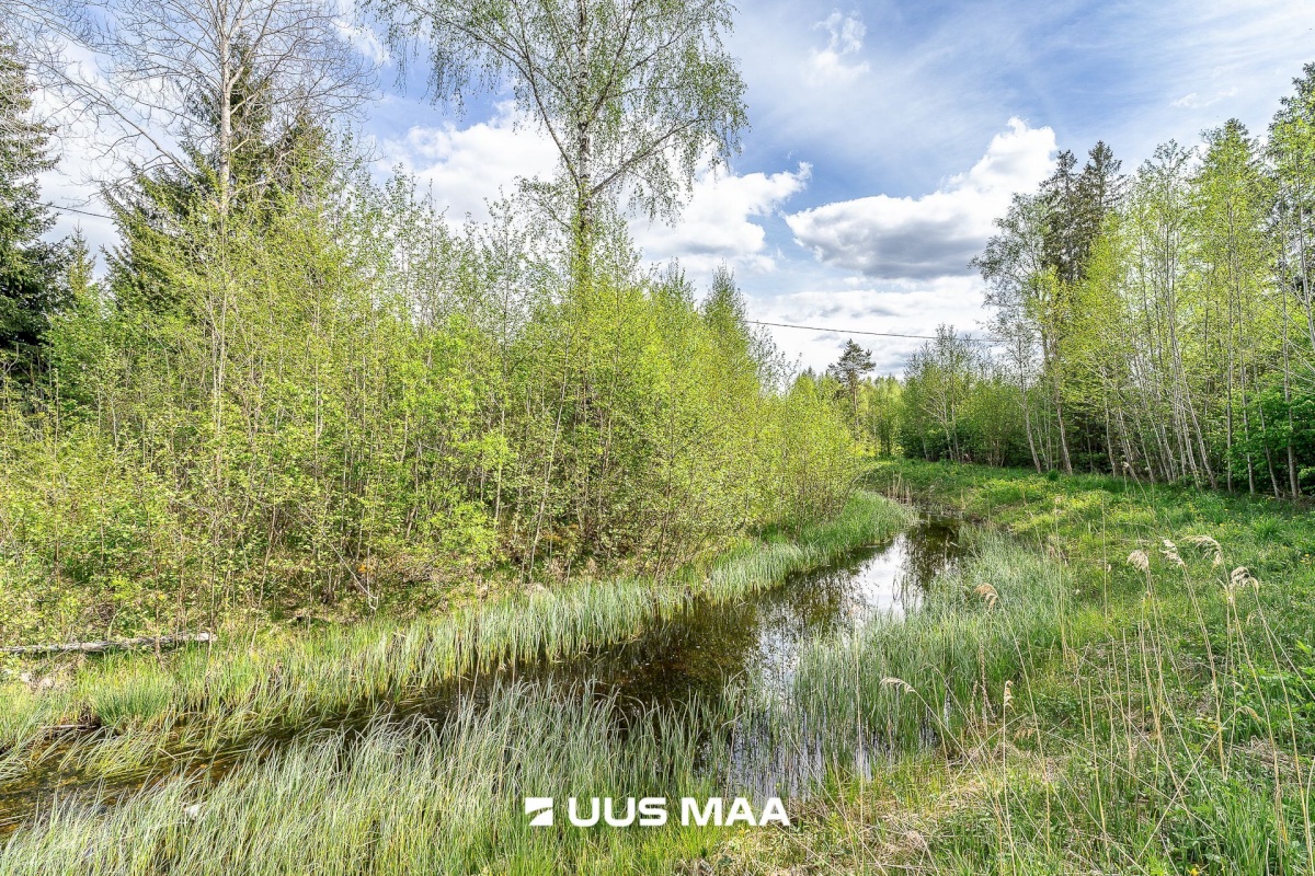 Märjamaa vald, Pajaka küla, Lutsupere