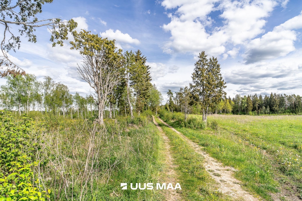 Märjamaa vald, Pajaka küla, Lutsupere