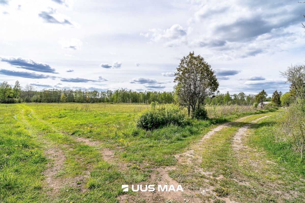 Märjamaa vald, Pajaka küla, Lutsupere