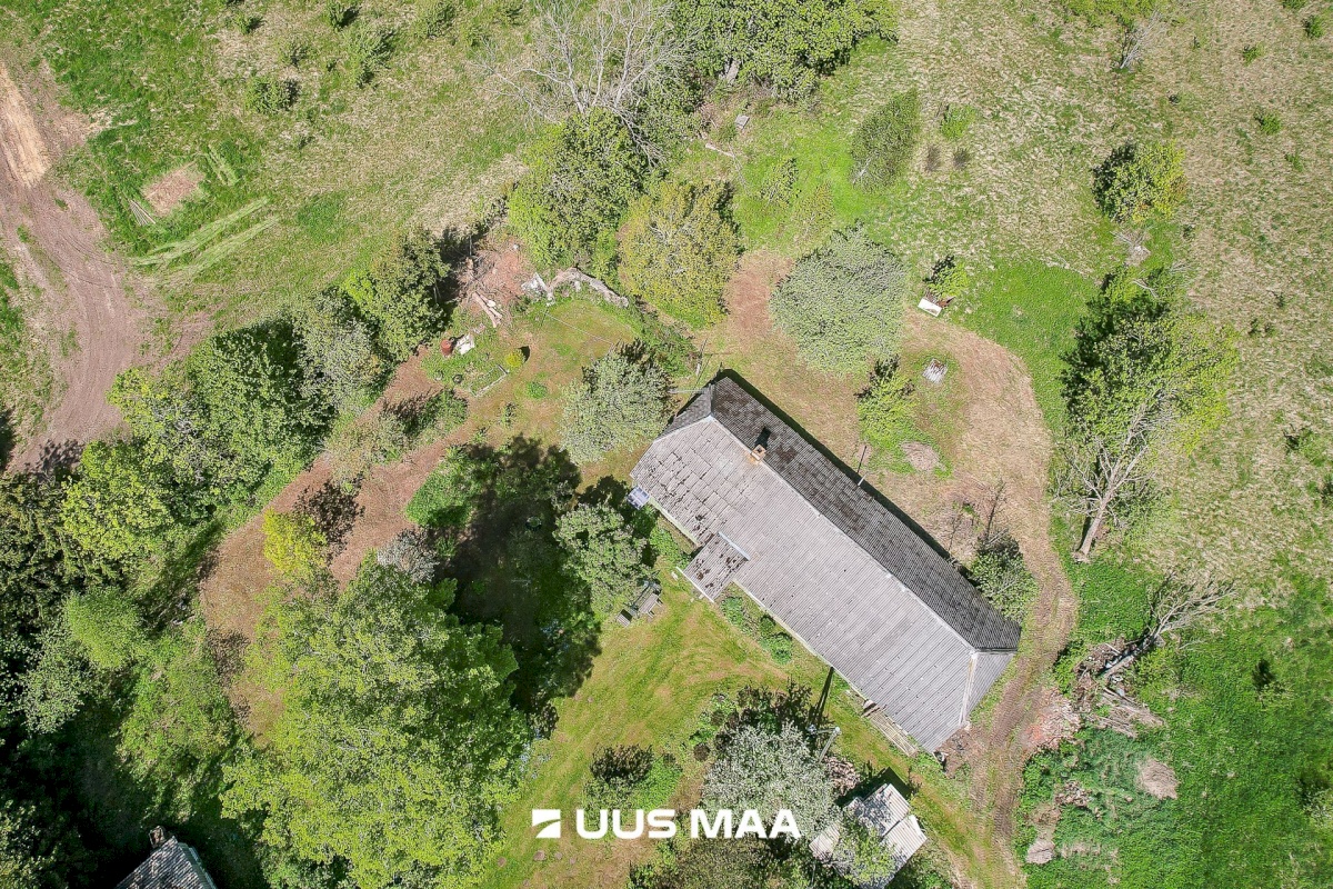 Saue vald, Tabara küla, Hinno